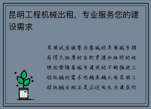 昆明工程机械出租，专业服务您的建设需求
